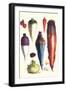 Tubers III-Philippe-Victoire Leveque de Vilmorin-Framed Art Print