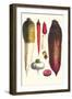 Tubers-Philippe-Victoire Leveque de Vilmorin-Framed Art Print