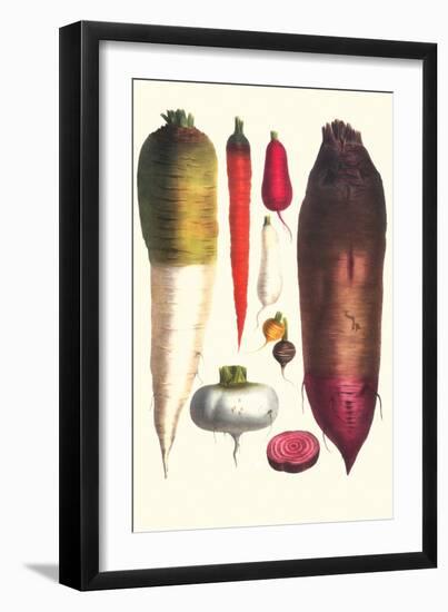 Tubers-Philippe-Victoire Leveque de Vilmorin-Framed Art Print