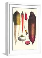 Tubers-Philippe-Victoire Leveque de Vilmorin-Framed Art Print