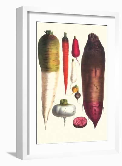 Tubers-Philippe-Victoire Leveque de Vilmorin-Framed Art Print