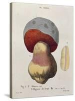 Tubiporus Cepa, Plate 176 from 'Iconographie Des Champignons De J.J. Paulet' by J. H. Leveille-Fossier-Stretched Canvas