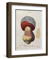 Tubiporus Cepa, Plate 176 from 'Iconographie Des Champignons De J.J. Paulet' by J. H. Leveille-Fossier-Framed Giclee Print