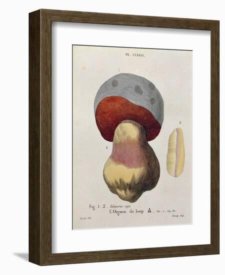 Tubiporus Cepa, Plate 176 from 'Iconographie Des Champignons De J.J. Paulet' by J. H. Leveille-Fossier-Framed Giclee Print