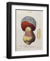 Tubiporus Cepa, Plate 176 from 'Iconographie Des Champignons De J.J. Paulet' by J. H. Leveille-Fossier-Framed Giclee Print