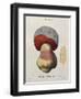 Tubiporus Cepa, Plate 176 from 'Iconographie Des Champignons De J.J. Paulet' by J. H. Leveille-Fossier-Framed Giclee Print