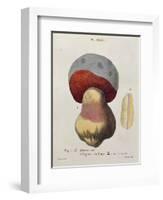 Tubiporus Cepa, Plate 176 from 'Iconographie Des Champignons De J.J. Paulet' by J. H. Leveille-Fossier-Framed Giclee Print