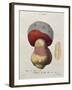 Tubiporus Cepa, Plate 176 from 'Iconographie Des Champignons De J.J. Paulet' by J. H. Leveille-Fossier-Framed Giclee Print