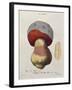 Tubiporus Cepa, Plate 176 from 'Iconographie Des Champignons De J.J. Paulet' by J. H. Leveille-Fossier-Framed Giclee Print