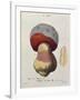 Tubiporus Cepa, Plate 176 from 'Iconographie Des Champignons De J.J. Paulet' by J. H. Leveille-Fossier-Framed Giclee Print