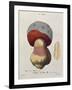 Tubiporus Cepa, Plate 176 from 'Iconographie Des Champignons De J.J. Paulet' by J. H. Leveille-Fossier-Framed Giclee Print