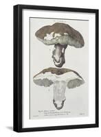 Tubiporus Esculentus, Plate 168 from 'Iconographie Des Champignons De J.J. Paulet'-De Lussigny-Framed Giclee Print