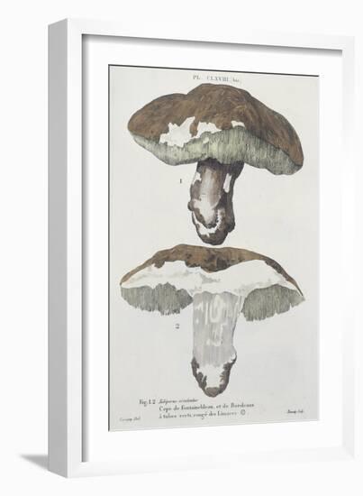 Tubiporus Esculentus, Plate 168 from 'Iconographie Des Champignons De J.J. Paulet'-De Lussigny-Framed Giclee Print