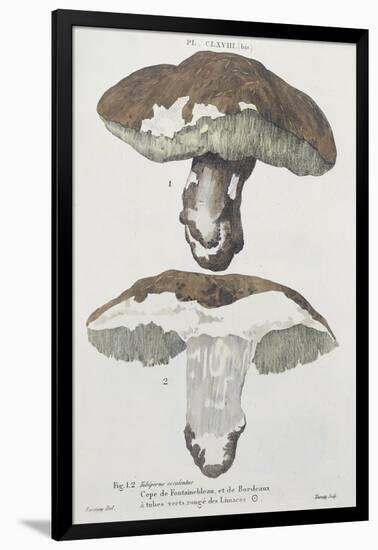 Tubiporus Esculentus, Plate 168 from 'Iconographie Des Champignons De J.J. Paulet'-De Lussigny-Framed Giclee Print