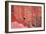 Tucan and a Red Wall-Howard Ruby-Framed Photographic Print