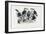 Tucans, 1863-79-Raimundo Petraroja-Framed Giclee Print