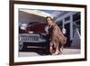 Tucker: The Man and His Dream by FrancisFordCoppola with Jeff Bridges, 1988 (photo)-null-Framed Photo