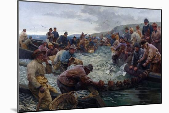 Tucking a School of Pilchards, 1897-Percy Robert Craft-Mounted Giclee Print