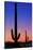 Tucson, Arizona - Cactus and Moon-Lantern Press-Stretched Canvas