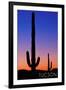 Tucson, Arizona - Cactus and Moon-Lantern Press-Framed Art Print