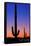 Tucson, Arizona - Cactus and Moon-Lantern Press-Framed Stretched Canvas