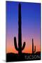 Tucson, Arizona - Cactus and Moon-Lantern Press-Mounted Art Print