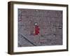 Tucson, Arizona-Stocktrek Images-Framed Photographic Print