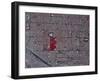 Tucson, Arizona-Stocktrek Images-Framed Photographic Print