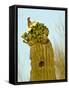 Tucson, Saguaro National Park, Arizona, USA-Peter Hawkins-Framed Stretched Canvas