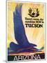 Tucson-null-Mounted Giclee Print