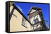 Tudor House Museum, Southampton, Hampshire, England, United Kingdom, Europe-Richard Cummins-Framed Stretched Canvas