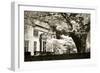 Tudor Mansion I-Alan Hausenflock-Framed Photographic Print