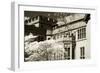 Tudor Mansion II-Alan Hausenflock-Framed Photographic Print