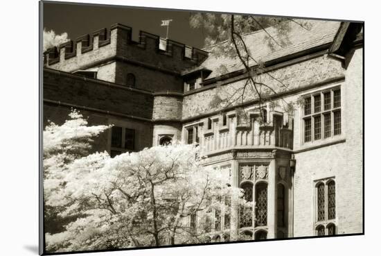 Tudor Mansion II-Alan Hausenflock-Mounted Photographic Print