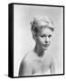 Tuesday Weld-null-Framed Stretched Canvas