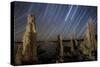 Tufa Formations at Mono Lake, California-null-Stretched Canvas