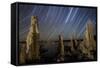 Tufa Formations at Mono Lake, California-null-Framed Stretched Canvas