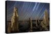 Tufa Formations at Mono Lake, California-null-Stretched Canvas