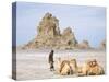 Tufa Towers at Lac Abhe, Afar Triangle, Djibouti-Tony Waltham-Stretched Canvas