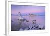 Tufa Towers on Mono Lake at Sunset, California, USA. Autumn (October)-Adam Burton-Framed Photographic Print