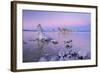 Tufa Towers on Mono Lake at Sunset, California, USA. Autumn (October)-Adam Burton-Framed Photographic Print