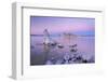 Tufa Towers on Mono Lake at Sunset, California, USA. Autumn (October)-Adam Burton-Framed Photographic Print