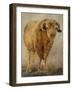 Tuff Enuff I-Kathy Winkler-Framed Art Print