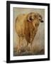 Tuff Enuff I-Kathy Winkler-Framed Art Print