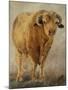 Tuff Enuff I-Kathy Winkler-Mounted Art Print