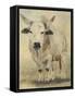 Tuff Enuff II-Kathy Winkler-Framed Stretched Canvas