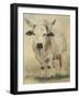 Tuff Enuff II-Kathy Winkler-Framed Art Print