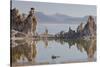 Tuff, Mono Lake, California, Usa-Rainer Mirau-Stretched Canvas