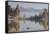 Tuff, Mono Lake, California, Usa-Rainer Mirau-Framed Stretched Canvas