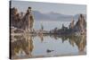 Tuff, Mono Lake, California, Usa-Rainer Mirau-Stretched Canvas